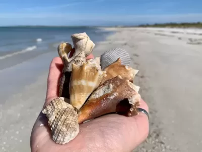 Shell hunting and sunset walks on the Gulf