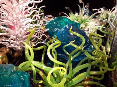  Chihuly Collection 