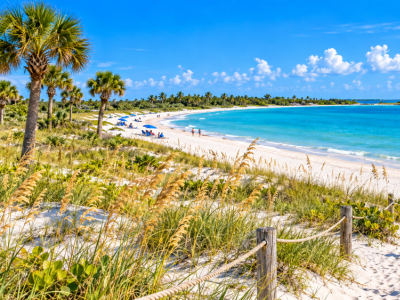 Choose a beach area with purpose