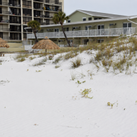 Hideaway Sands Beach Front Resort on St Pete Beach FL